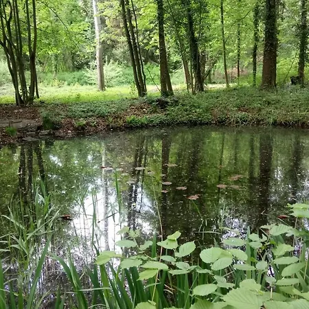 Haus Waldidyll Lejlighed