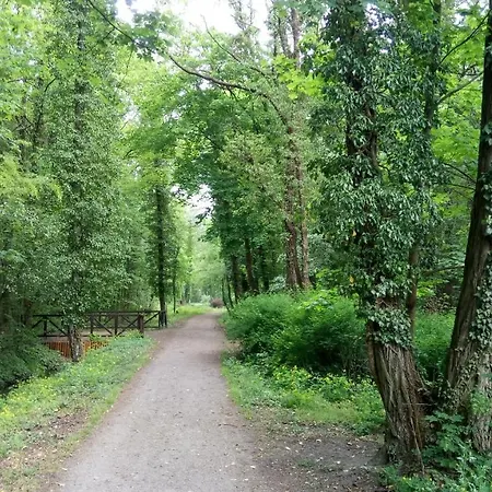 Lejlighed Haus Waldidyll