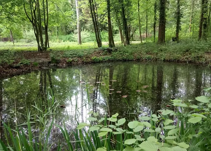 Haus Waldidyll شقة